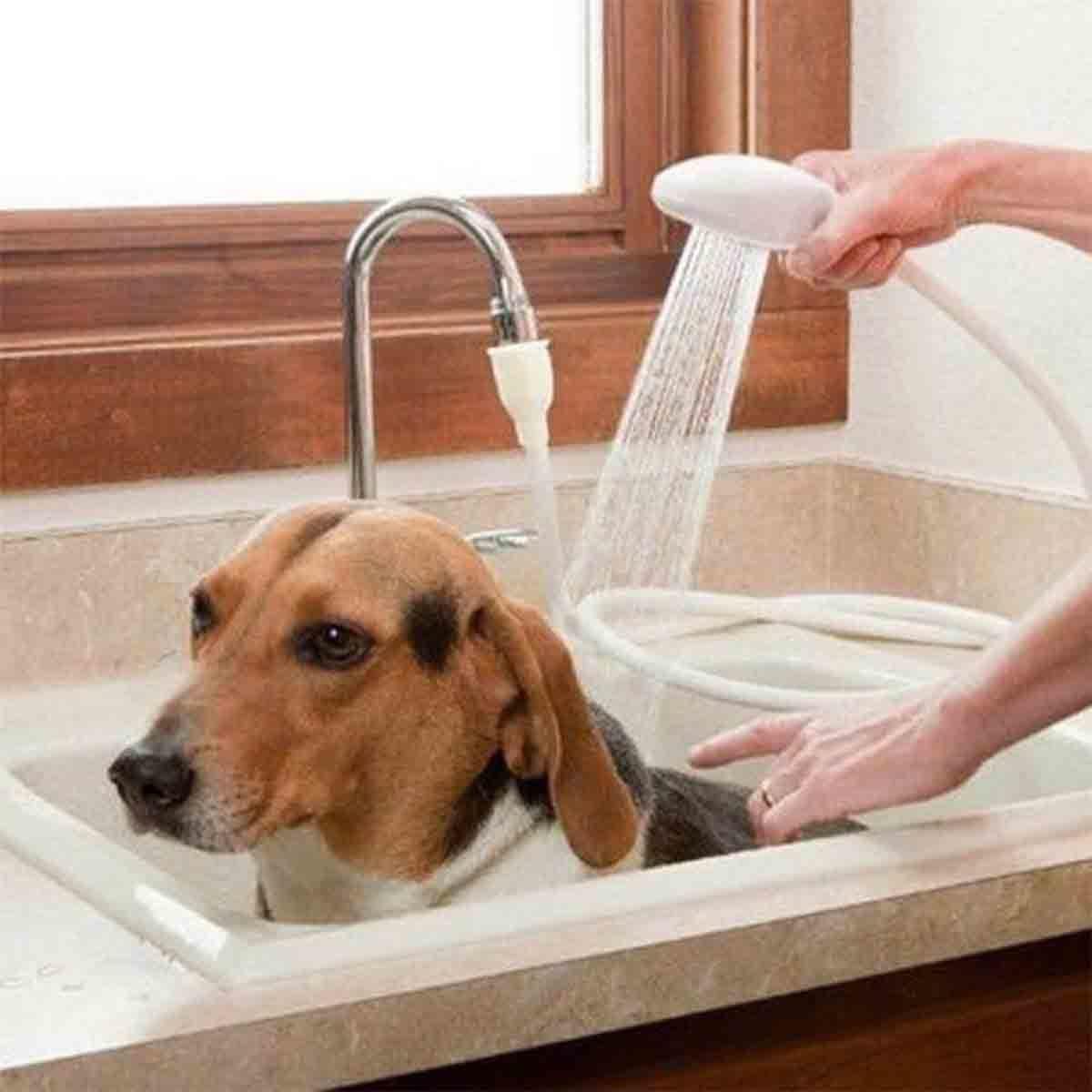 Image To Zoom