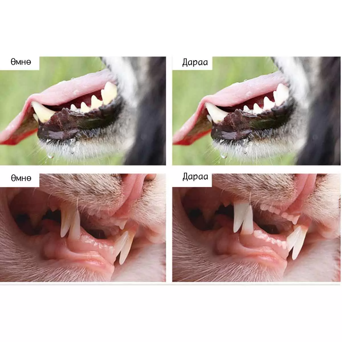 Image To Zoom
