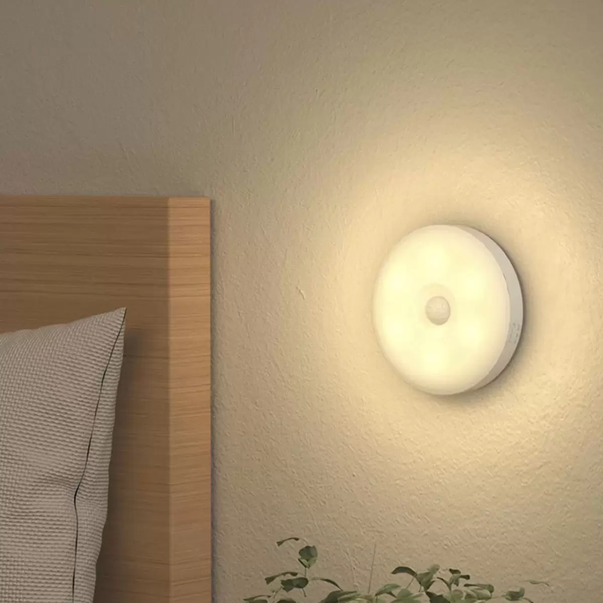Image To Zoom