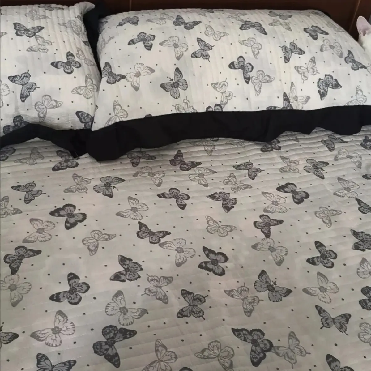 Image To Zoom